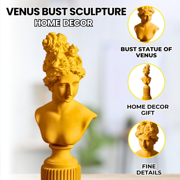 Female Bust Sculpture, Classical Roman Sculpture of Venus, Home Decor Gifts 14 inch, 36 cm by Sona Casa