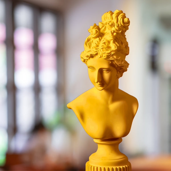 Female Bust Sculpture, Classical Roman Sculpture of Venus, Home Decor Gifts 14 inch, 36 cm by Sona Casa
