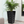 Tall Black Planter Pot Set of 2, Indoor/Outdoor, 22