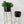 Contemporary Indoor Black Metal Pots Set with Golden Stand for Fresh or Faux Plants Living Room Office Decor, Gifts-Sona Casa
