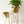 Modern Gold Planter Set with Stands, Set of 2 Tall Metal Indoor Plant Pots for Home, Office, Living Room Decor-Sona Casa