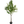 Large Nearly Natural Artificial Olive Tree with Black Olives, 47