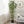 Artificial Bamboo Tree 4 ft Tall, Indoor Faux Bamboo, Realistic Fake Plant for Living Room Office Home Decor-Sona Casa