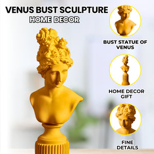 Female Bust Sculpture, Classical Roman Sculpture of Venus, Home Decor Gifts 14 inch, 36 cm by Sona Casa