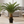Artificial Sago Palm Plant, Indoor Home Office Decor, Realistic 83 cm Tropical Faux Cycas Plant with Stable Base-Sona Casa