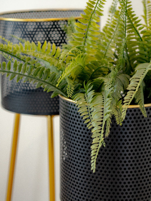 Modern Black Metal Plant Pot, Set of 2 Planters, Gold Tripod Stand, Indoor Outdoor Gift Decor for Home or Office-Sona Casa